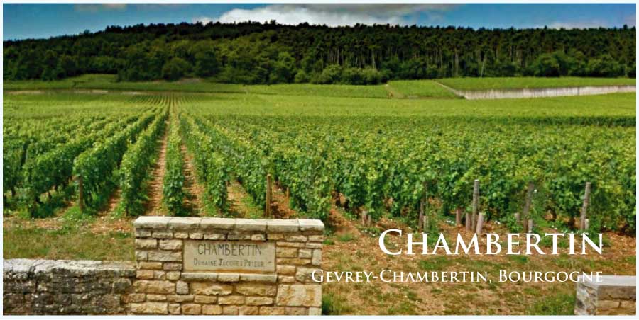 シャンベルタン (Chambertin)