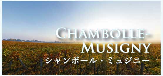 シャンボール・ミュジニー (Chambolle-Musigny)
