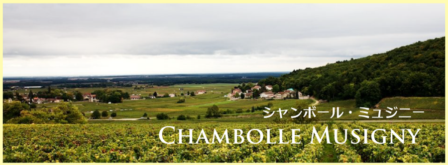シャンボール・ミュジニー (Chambolle-Musigny) ワイン通販 レ シャンボール・ミュジニー (Chambolle-Musigny) ワイン通販 レ