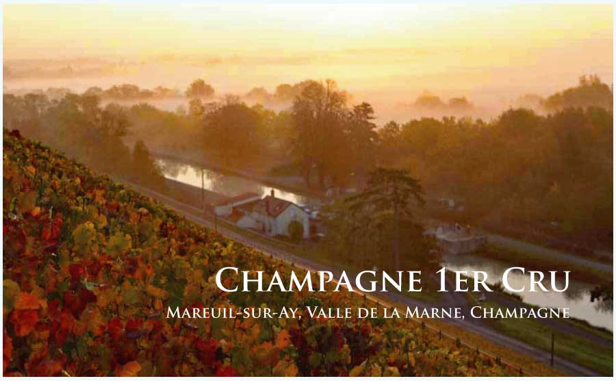 シャンパーニュ、プルミエ・クリュ (Champagne, 1er Cru) シャンパーニュ、プルミエ・クリュ (Champagne, 1er Cru)