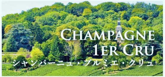 シャンパーニュ、プルミエ・クリュ (Champagne, 1er Cru)