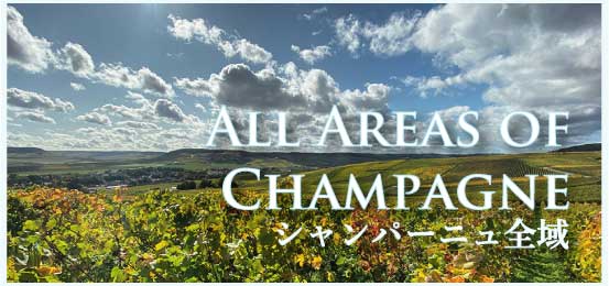 シャンパーニュ全域 (All Areas of Champagne)