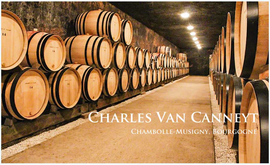 シャルル・ヴァン・カネイ （Charles Van Canneyt)