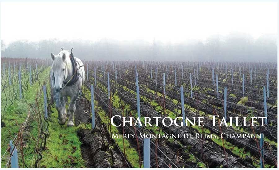 シャルトーニュ・タイエ (Chartogne Taillet)