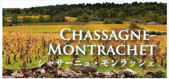 シャサーニュ・モンラッシェ (Chassagne-Montrachet)
