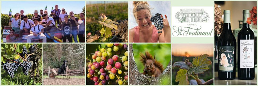 シャトー・サン・フェルディナン (Chateau St. Ferdinand)