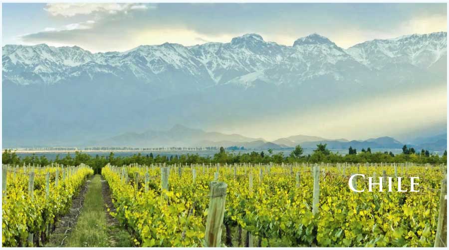 チリのワイン (Chile Wine) チリのワイン (Chile Wine)