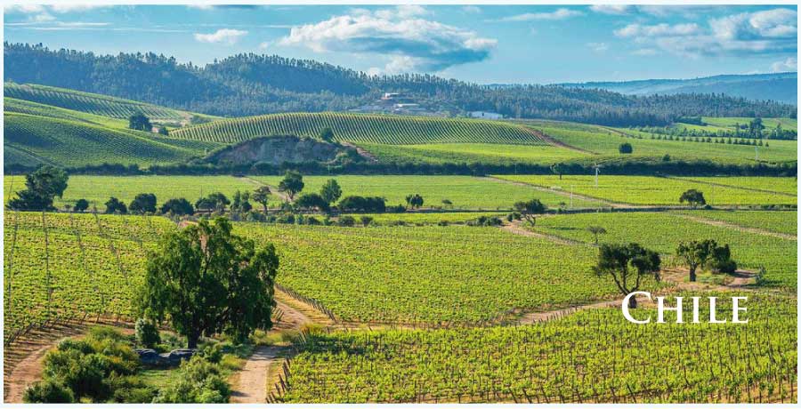 チリのワイン (Chile Wine) チリのワイン (Chile Wine)