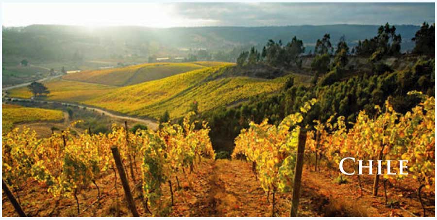 チリのワイン (Chile Wine) チリのワイン (Chile Wine)