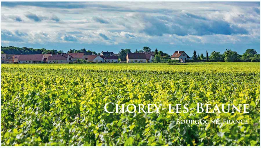 ショレイ・レ・ボーヌのぶどう畑　（ブルゴーニュ・ショレイ・レ・ボーヌ）