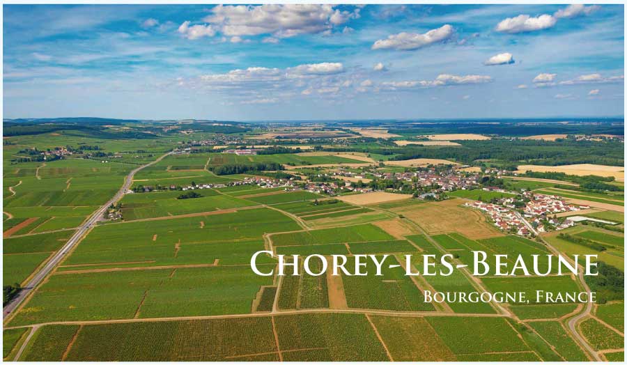 ショレイ・レ・ボーヌのぶどう畑　（ブルゴーニュ・ショレイ・レ・ボーヌ）