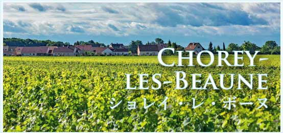 ショレイ・レ・ボーヌ (Chorey-les-Beaune) ショレイ・レ・ボーヌ (Chorey-les-Beaune)