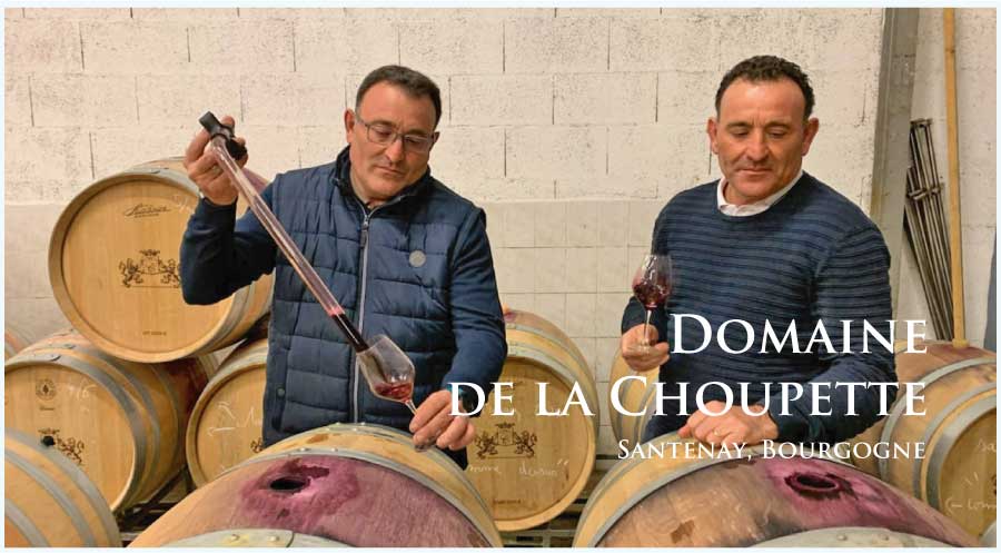 ドメーヌ・ド・ラ・シュペット (Domaine de la Choupette) フランス、ブルゴーニュ、サントネイ