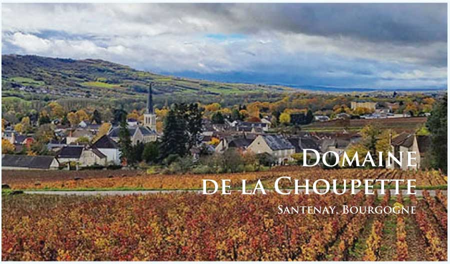 ドメーヌ・ド・ラ・シュペット (Domaine de la Choupette) フランス、ブルゴーニュ、サントネイ