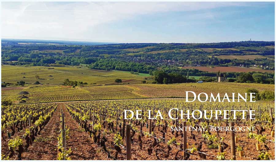 ドメーヌ・ド・ラ・シュペット (Domaine de la Choupette) フランス、ブルゴーニュ、サントネイ