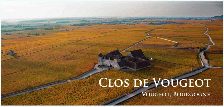 クロ・ド・ヴージョ (Clos de Vougeot)