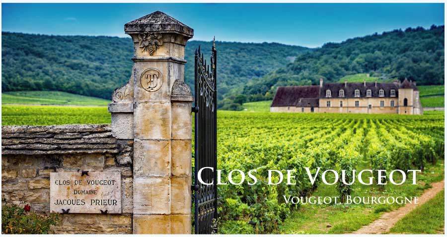 クロ・ド・ヴージョ (Clos de Vougeot)