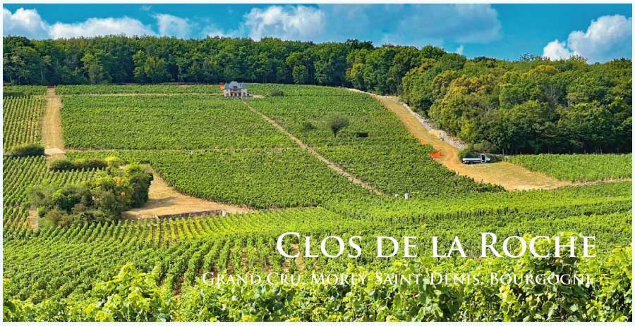 クロ・ド・ラ・ロッシュ (Clos de la Roche)