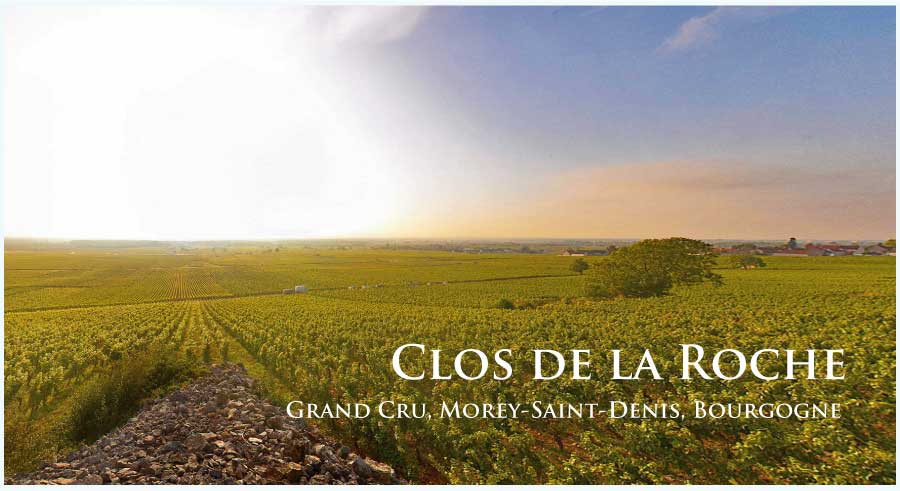 クロ・ド・ラ・ロッシュ (Clos de la Roche)