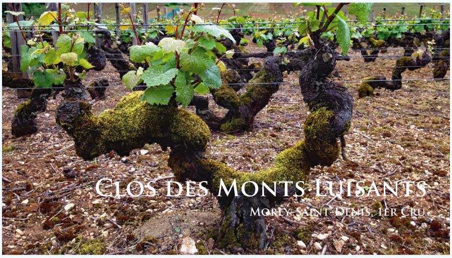 クロ・デ・モン・リュイザン (Clos des Monts Luisants)