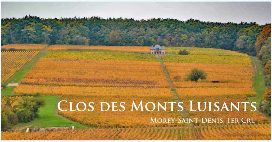 クロ・デ・モン・リュイザン (Clos des Monts Luisants)
