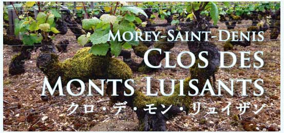 モレ・サン・ドニ、プルミエ・クリュ、クロ・デ・モン・リュイザン (Morey-Saint-Denis, 1er Cru, Clos des Monts Luisants)