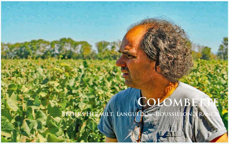 コロンベット (Colombette)