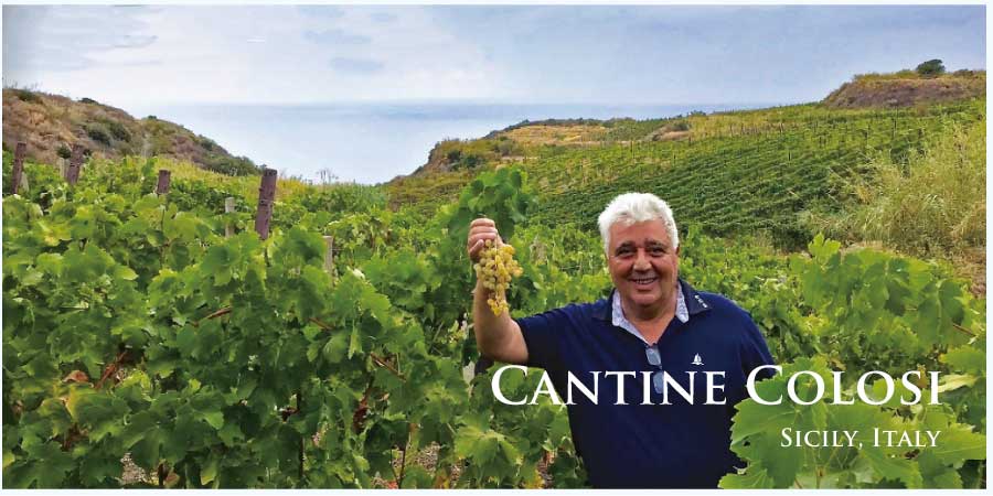 コローシ (Colosi)