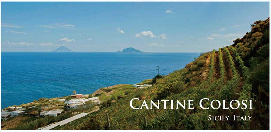 コローシ (Colosi)