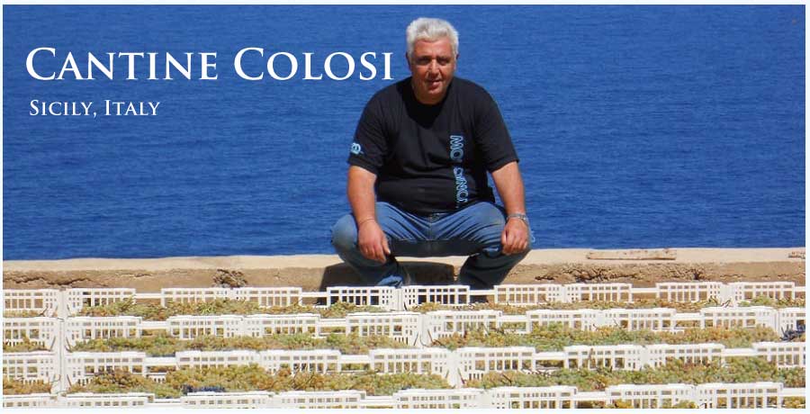 コローシ (Colosi)