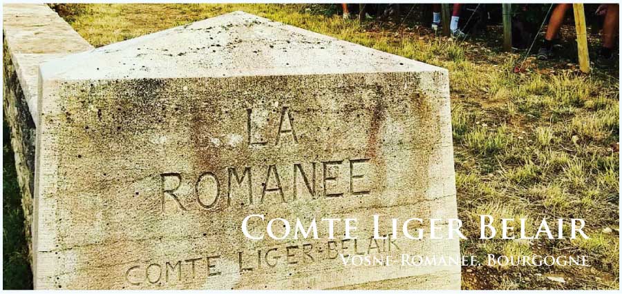 コント・リジェ・ベレール (Comte Liger Belair)　ヴォーヌ・ロマネ