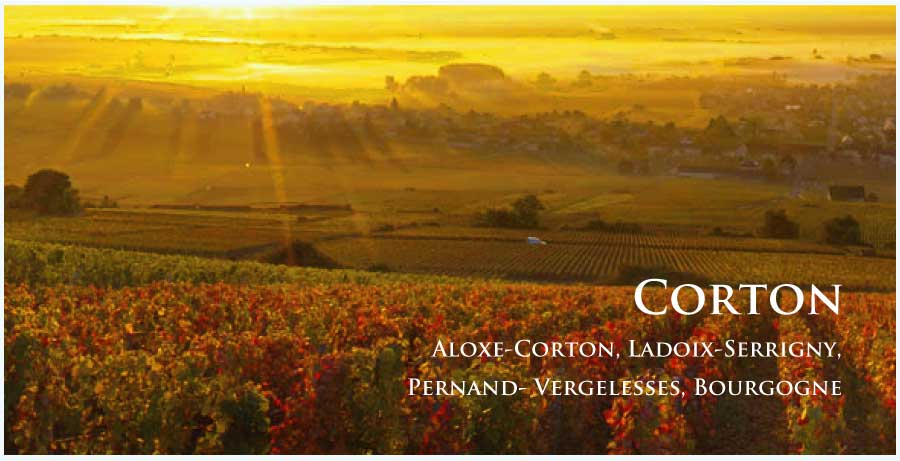 コルトン (Corton) コルトン (Corton)