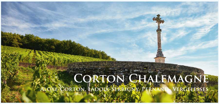 コルトン・シャルルマーニュ (Corton Charlemagne) ワイン通販 コルトン・シャルルマーニュ (Corton Charlemagne) ワイン通販