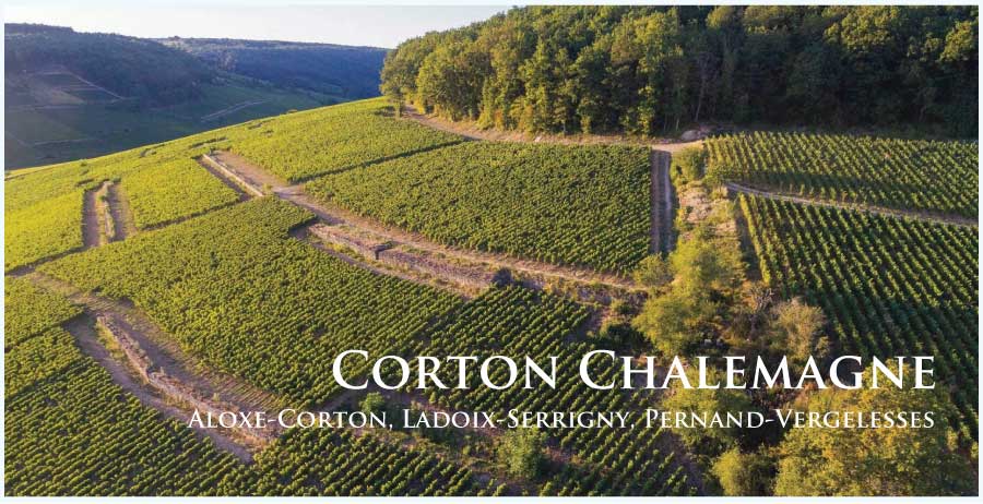 コルトン・シャルルマーニュ (Corton Charlemagne) ワイン通販 コルトン・シャルルマーニュ (Corton Charlemagne) ワイン通販