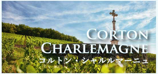 コルトン・シャルルマーニュ (Corton-Charlemagne)