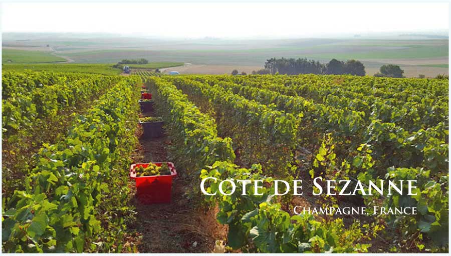 コート・ド・セザンヌ (Cote de Sezanne) コート・ド・セザンヌ (Cote de Sezanne)