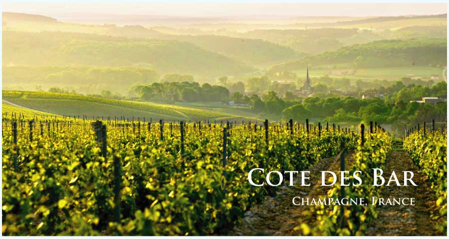 コート・デ・バール (Cote des Bar) コート・デ・バール (Cote des Bar)