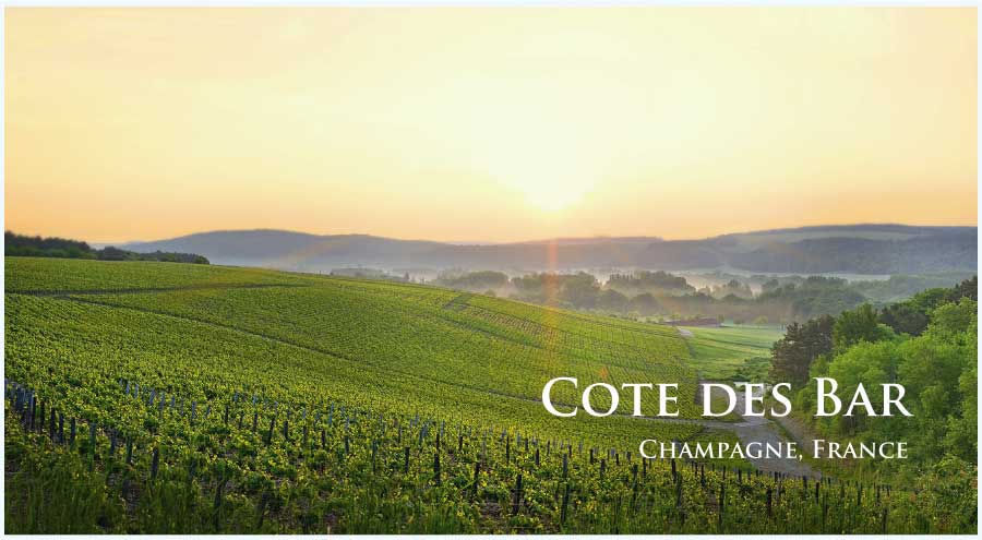 コート・デ・バール (Cote des Bar) コート・デ・バール (Cote des Bar)
