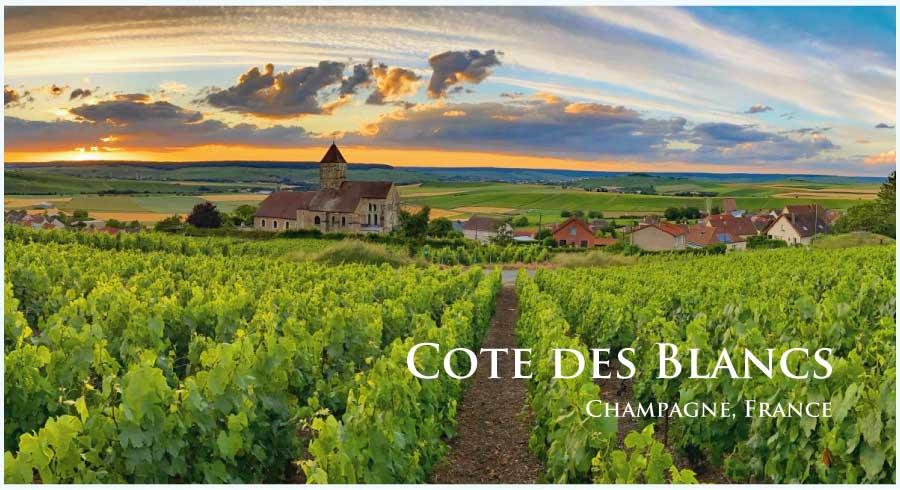 コート・デ・ブラン (Cote des Blancs) コート・デ・ブラン (Cote des Blancs)