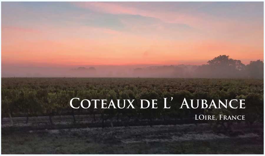 フランス、ロワール、コトー・ド・ローバンスのぶどう畑