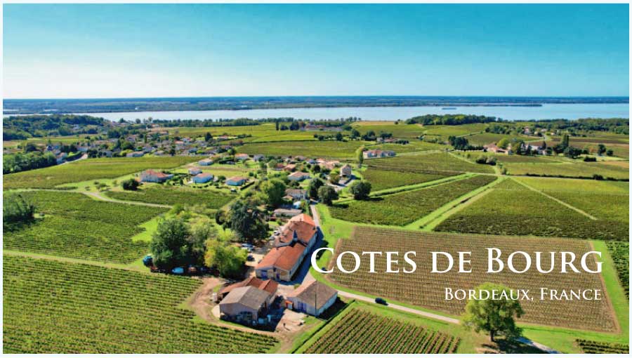 フランス、ボルドー、コート・ド・ブールのぶどう畑