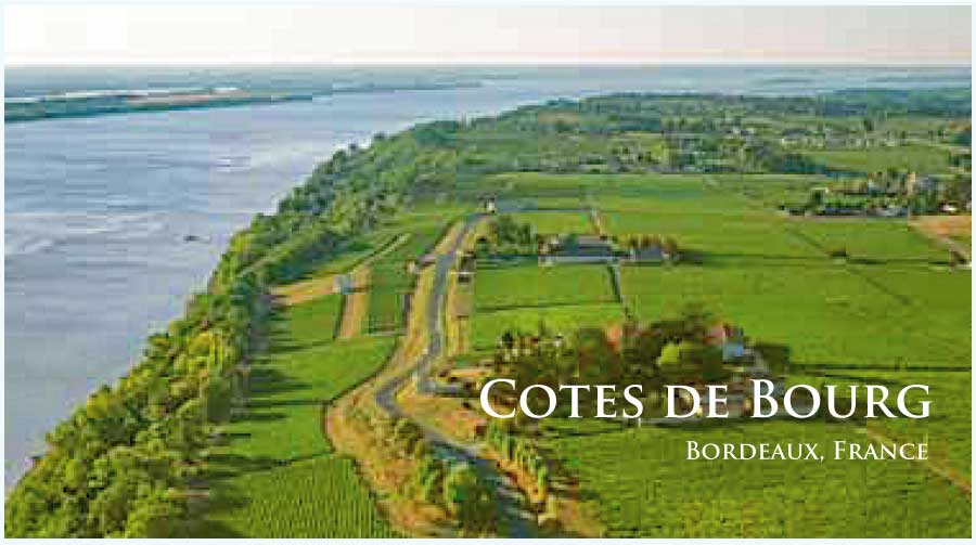 フランス、ボルドー、コート・ド・ブールのぶどう畑