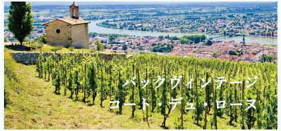 コート・デュ・ローヌ (Cotes du Rhone)