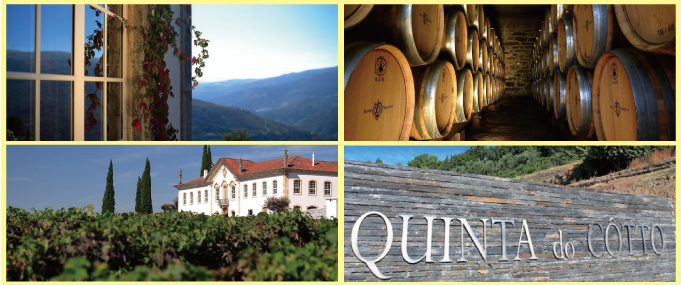 ポルトガル・フランスワインなど各国ワイン通販　キンタ・ド・コットのワイナリー