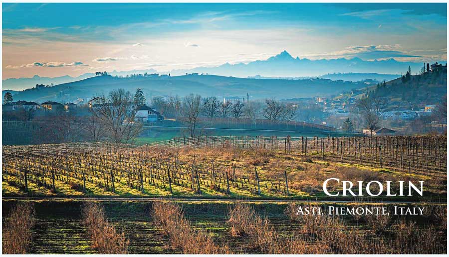 クリオリン (Criolin) イタリア、ピエモンテ、ランゲ
