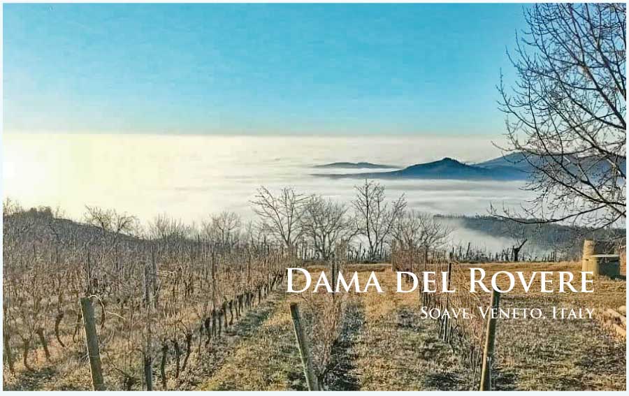 ダーマ・デル・ロヴェーレ (Dama del Rovere) イタリア、ヴェネト、ソアヴェ