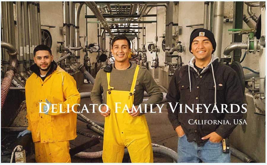 デリカート・ファミリー・ヴィンヤーズ (Delicato Family Vineyards) アメリカ、カリフォルニア デリカート・ファミリー・ヴィンヤーズ (Delicato Family Vineyards) アメリカ、カリフォルニア