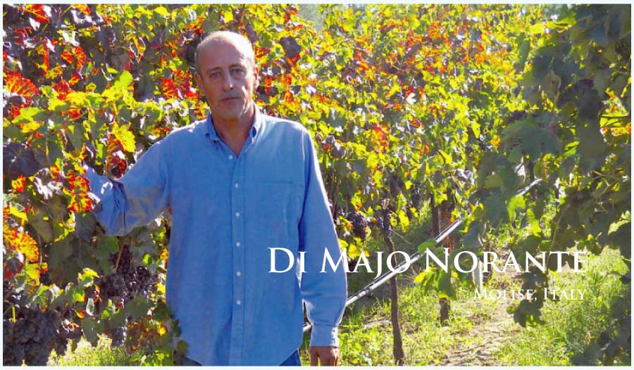 ディ・マーヨ・ノランテ (Di Majo Norante) イタリア、モリーゼ