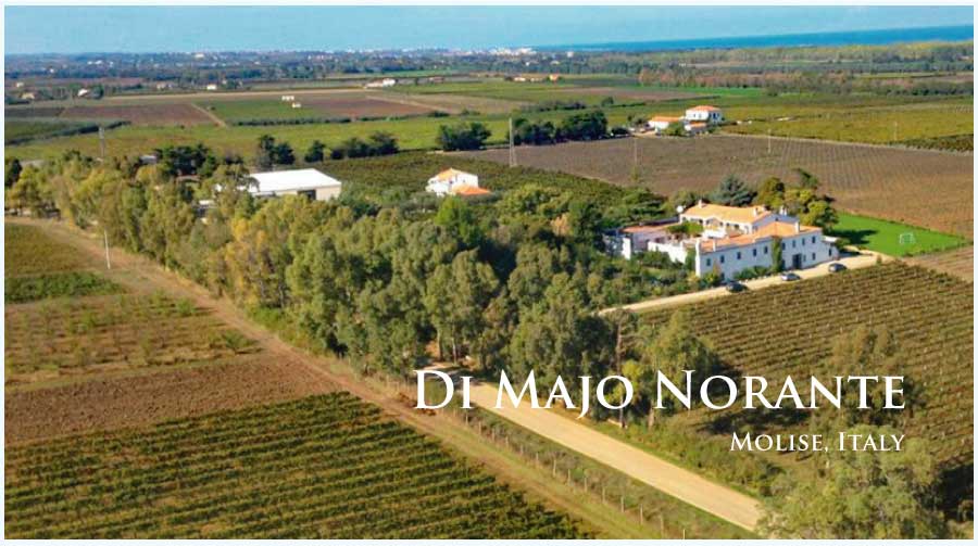 ディ・マーヨ・ノランテ (Di Majo Norante) イタリア、モリーゼ