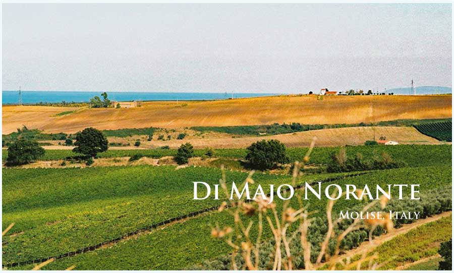 ディ・マーヨ・ノランテ (Di Majo Norante) イタリア、モリーゼ